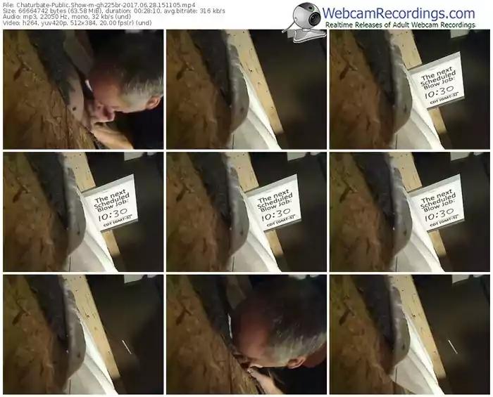 chaturbate-gh225br-webcam-show-06_28_2017-15_11_05