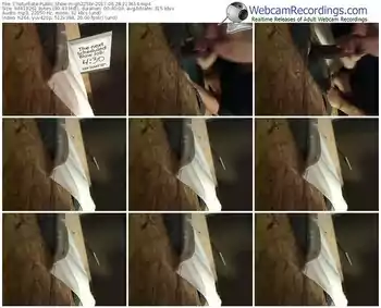 chaturbate-gh225br-webcam-show-06_28_2017-21_36_14