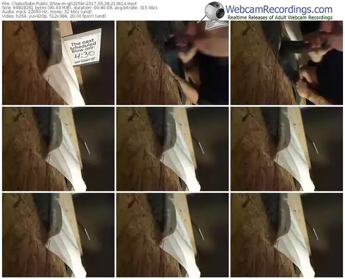 chaturbate-gh225br-webcam-show-06_28_2017-21_36_14