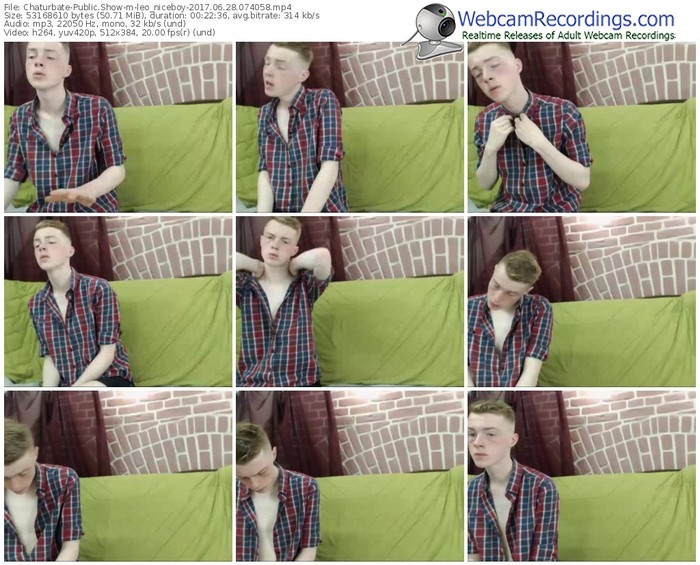 chaturbate-leo_niceboy-webcam-show-06_28_2017-07_40_58