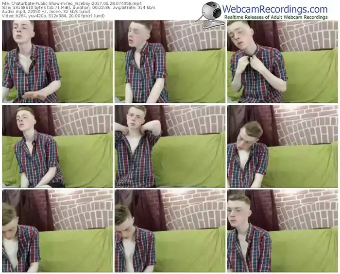 chaturbate-leo_niceboy-webcam-show-06_28_2017-07_40_58