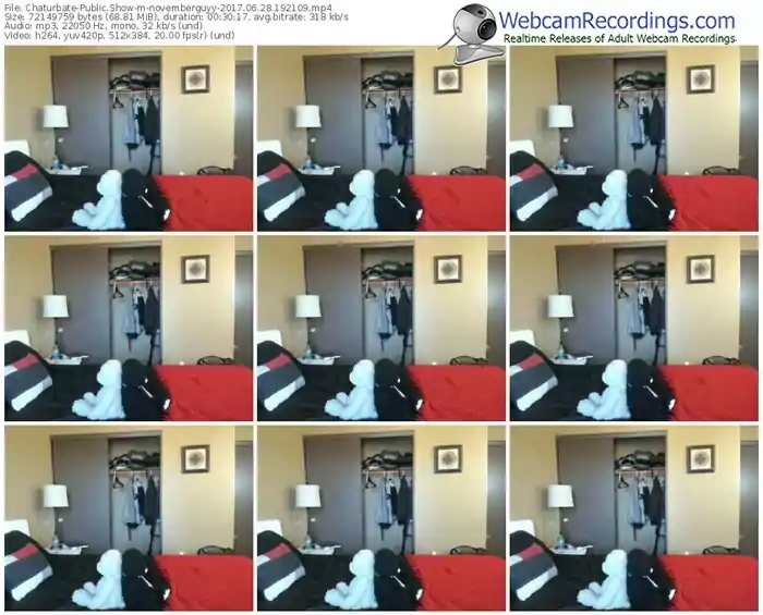 chaturbate-novemberguyy-webcam-show-06_28_2017-19_21_09