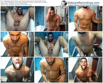 chaturbate-perfectionistguy-webcam-show-06_28_2017-15_46_07