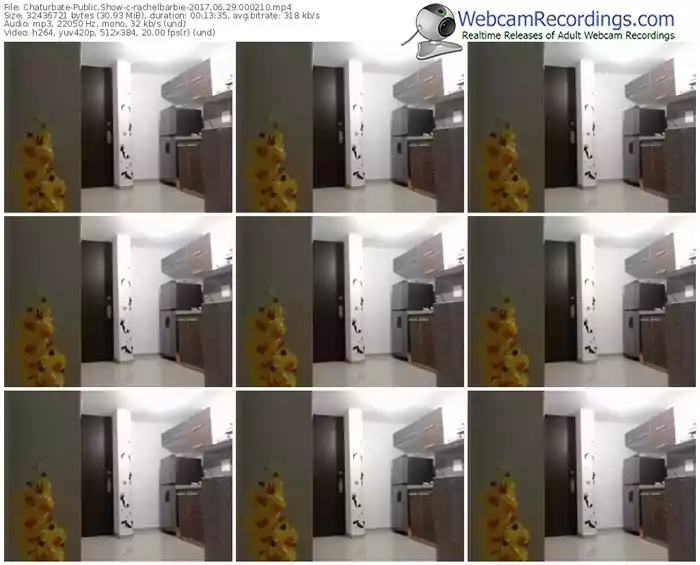 chaturbate-rachelbarbie-webcam-show-06_29_2017-00_02_10