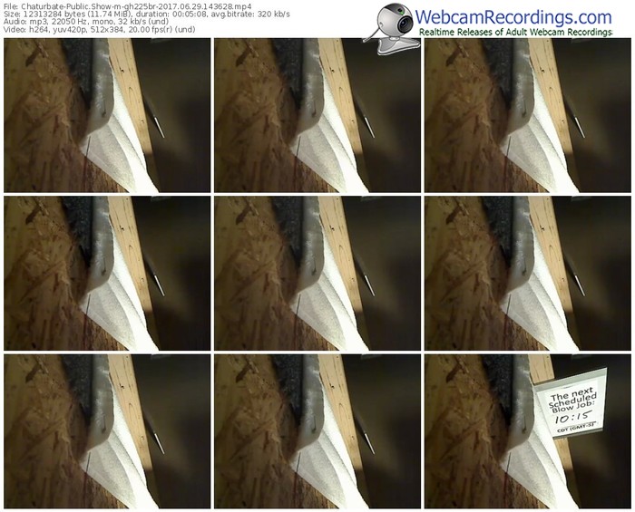 chaturbate-gh225br-webcam-show-06_29_2017-14_36_28
