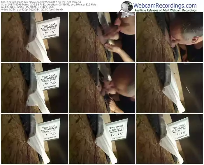 chaturbate-gh225br-webcam-show-06_29_2017-15_01_29