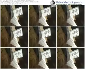 chaturbate-gh225br-webcam-show-06_29_2017-17_01_29