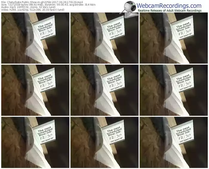 chaturbate-gh225br-webcam-show-06_29_2017-17_01_29