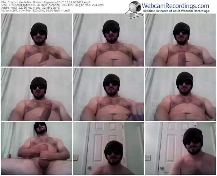 chaturbate-hgswells-webcam-show-06_29_2017-02_36_18