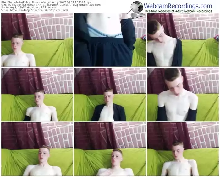 chaturbate-leo_niceboy-webcam-show-06_29_2017-10_26_24