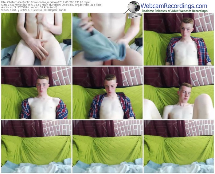 chaturbate-leo_niceboy-webcam-show-06_29_2017-12_41_26