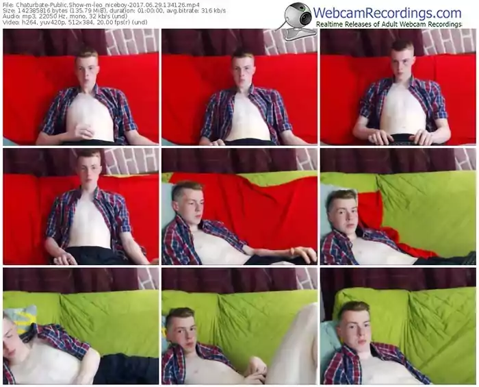 chaturbate-leo_niceboy-webcam-show-06_29_2017-13_41_26