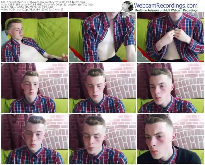 chaturbate-leo_niceboy-webcam-show-06_29_2017-14_41_26