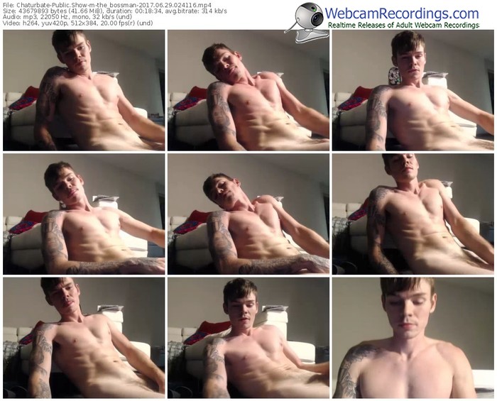 chaturbate-the_bossman-webcam-show-06_29_2017-02_41_16