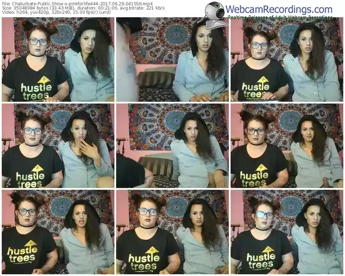 chaturbate-pinkforlife444-webcam-show-06_29_2017-04_15_56