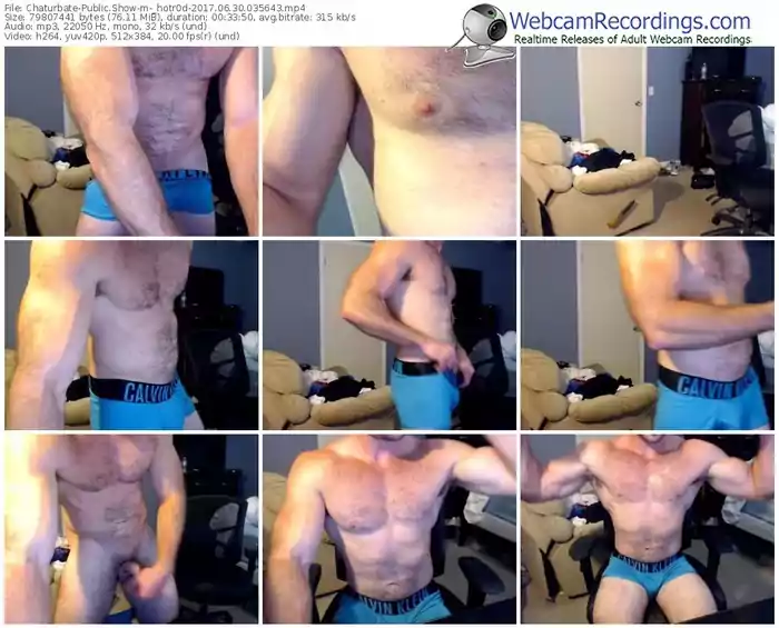 chaturbate-_hotr0d-webcam-show-06_30_2017-03_56_43