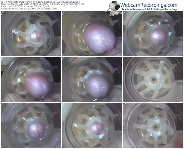 chaturbate-edging8inches-webcam-show-06_30_2017-12_11_51