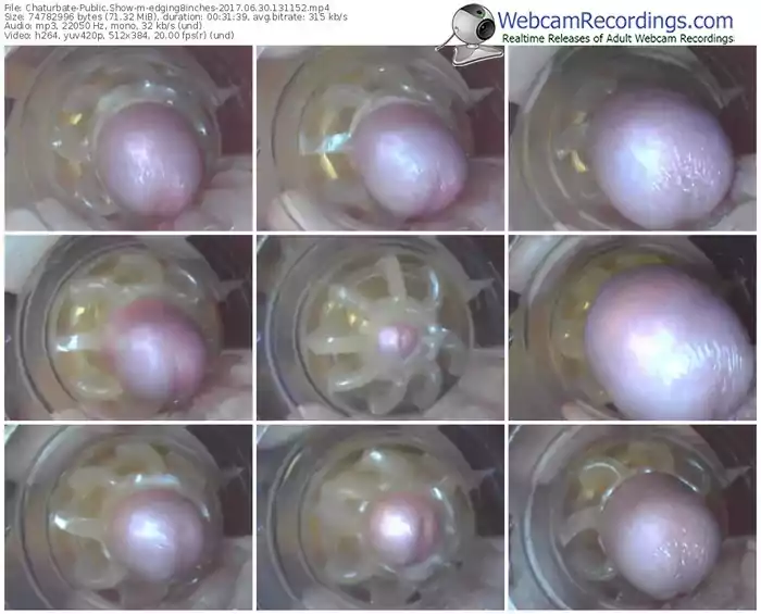 chaturbate-edging8inches-webcam-show-06_30_2017-13_11_52
