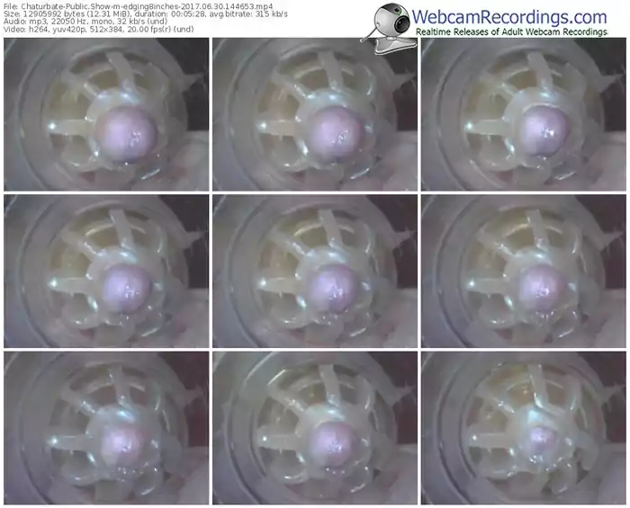 chaturbate-edging8inches-webcam-show-06_30_2017-14_46_53