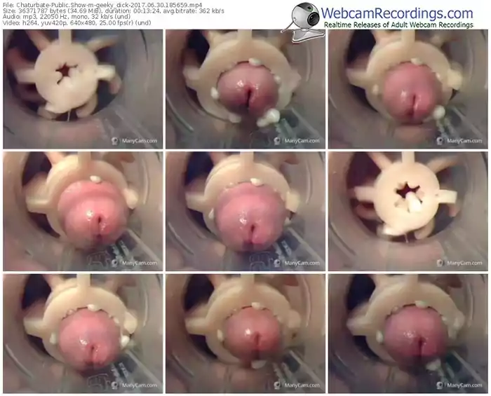 chaturbate-geeky_dick-webcam-show-06_30_2017-18_56_59