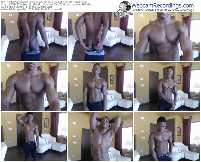 chaturbate-novemberguyy-webcam-show-06_30_2017-19_32_00