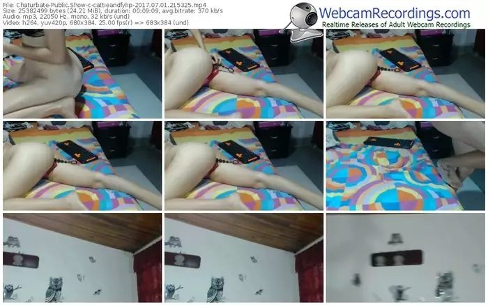 chaturbate-cattieandfylip-webcam-show-07_01_2017-21_53_25