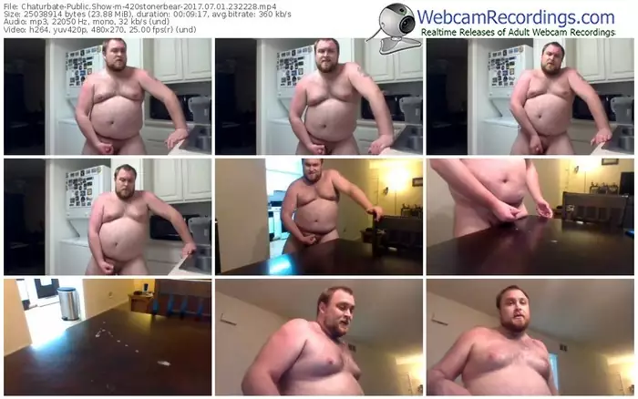 chaturbate-420stonerbear-webcam-show-07_01_2017-23_22_28