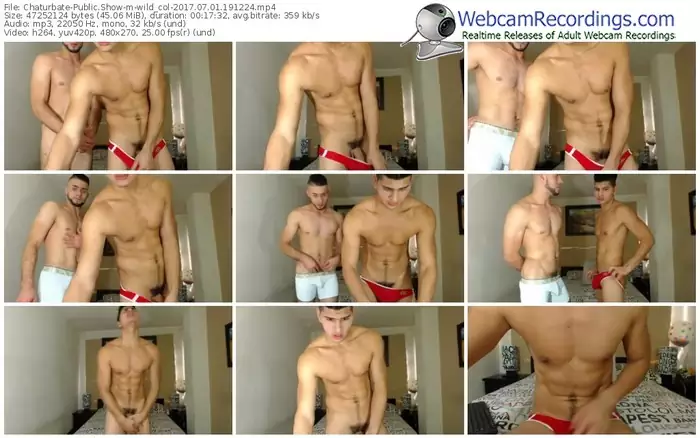 chaturbate-wild_col-webcam-show-07_01_2017-19_12_24