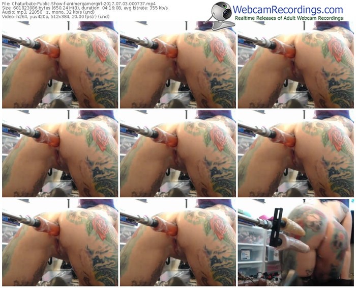 chaturbate-animergamergirl-webcam-show-07_03_2017-00_07_37