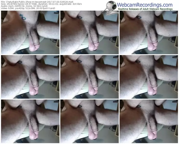 chaturbate-texasmeat-webcam-show-07_03_2017-02_45_24