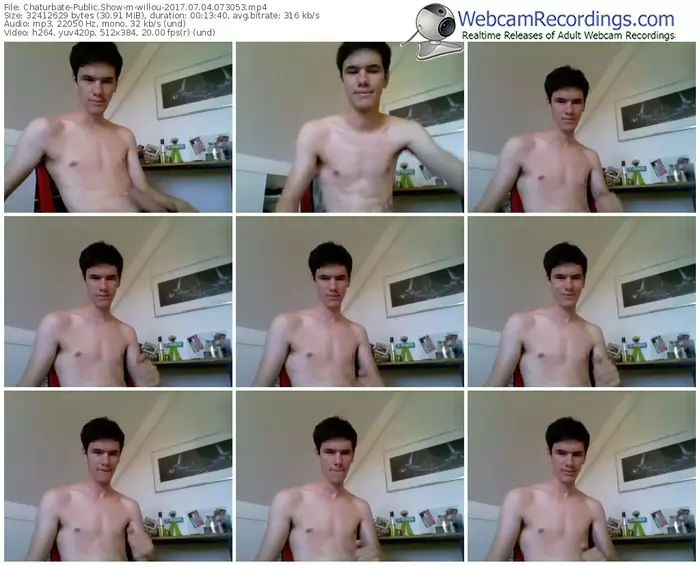 chaturbate-willou-webcam-show-07_04_2017-07_30_53