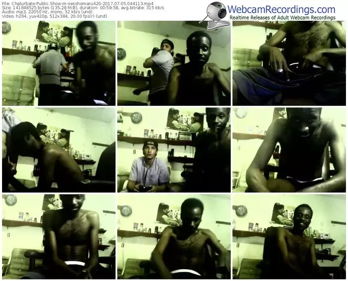 chaturbate-sesshomaru420-webcam-show-07_05_2017-04_41_13