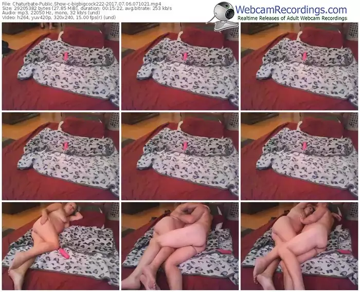 chaturbate-bigbigcock222-webcam-show-07_06_2017-07_10_21