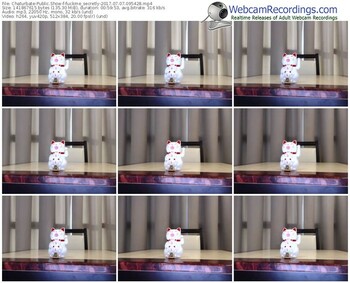 chaturbate-fuckme_secretly-webcam-show-07_07_2017-09_54_28