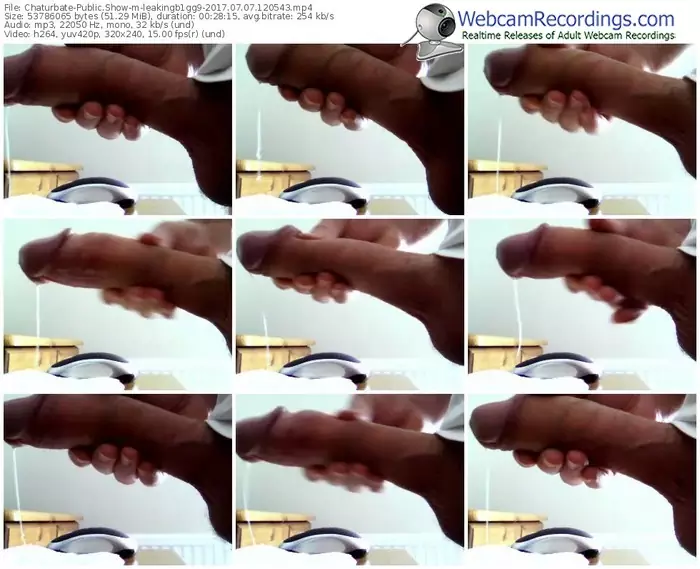 chaturbate-leakingb1gg9-webcam-show-07_07_2017-12_05_43