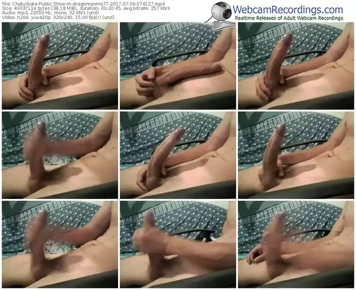 chaturbate-dragonnpenis77-webcam-show-07_09_2017-07_41_27