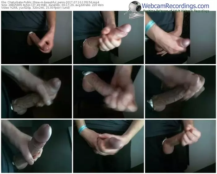 chaturbate-beautiful_penis-webcam-show-07_10_2017-13_51_56