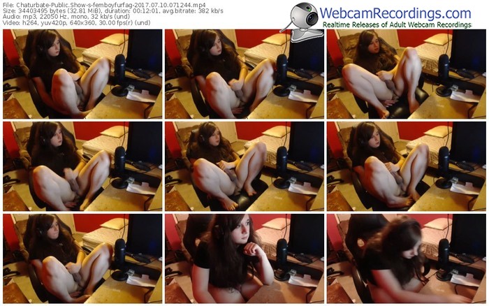chaturbate-femboyfurfag-webcam-show-07_10_2017-07_12_44