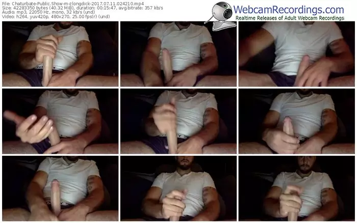 chaturbate-zlongdick-webcam-show-07_11_2017-02_42_10