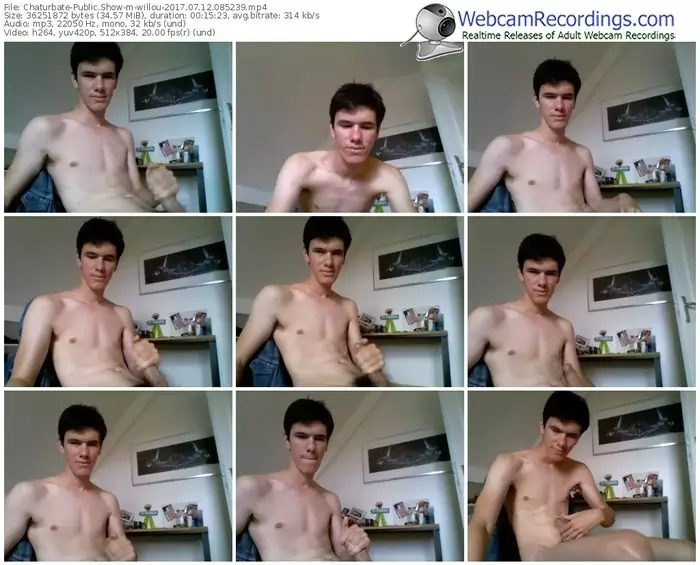 chaturbate-willou-webcam-show-07_12_2017-08_52_39