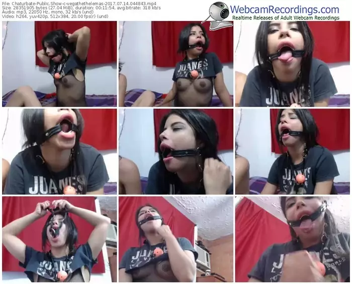 chaturbate-vegathethelemas-webcam-show-07_14_2017-04_48_43