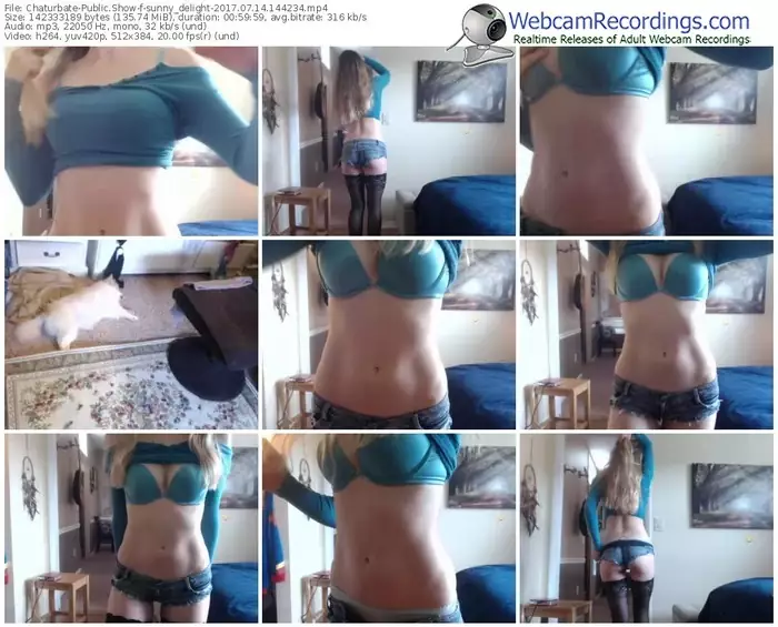 chaturbate-sunny_delight-webcam-show-07_14_2017-14_42_34