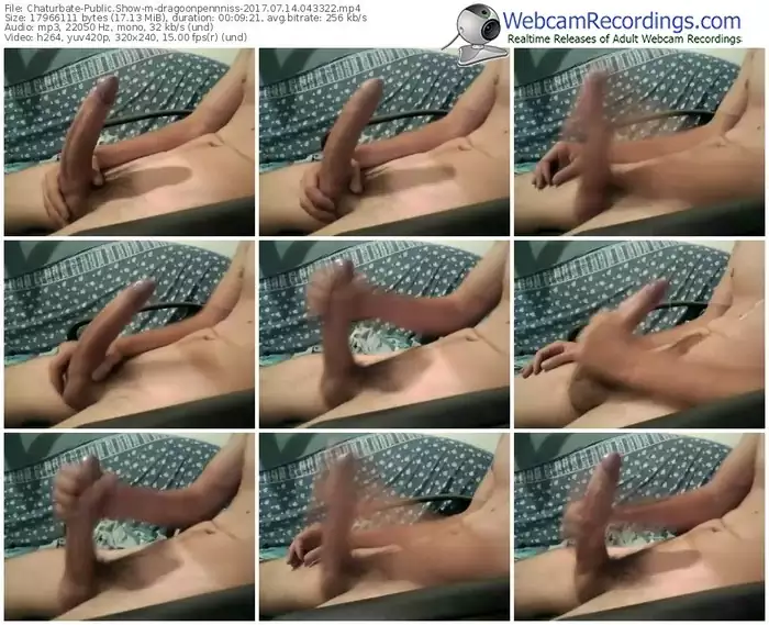 chaturbate-dragoonpennniss-webcam-show-07_14_2017-04_33_22