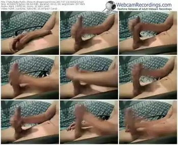 chaturbate-dragoonpennniss-webcam-show-07_14_2017-04_43_23