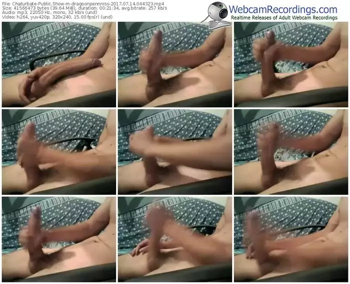 chaturbate-dragoonpennniss-webcam-show-07_14_2017-04_43_23