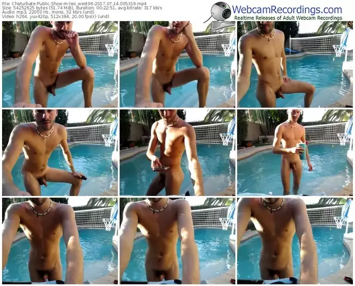 chaturbate-leo_west96-webcam-show-07_14_2017-00_53_19