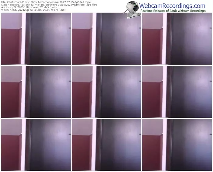 chaturbate-dontpervonme-webcam-show-07_15_2017-04_32_42