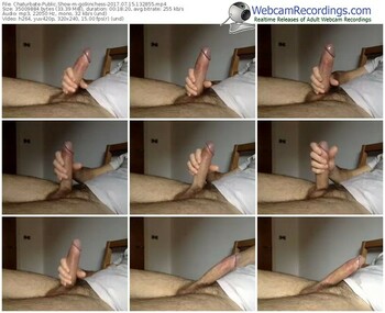 chaturbate-go9inchess-webcam-show-07_15_2017-13_28_55