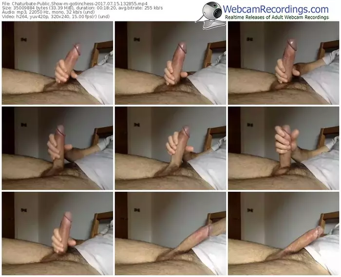 chaturbate-go9inchess-webcam-show-07_15_2017-13_28_55