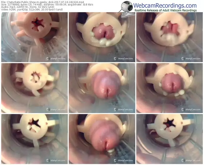 chaturbate-geeky_dick-webcam-show-07_16_2017-18_19_24